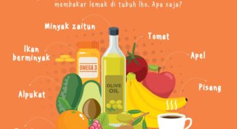 10 Makanan Pembakar Lemak: Efektif atau Sekadar Mitos?