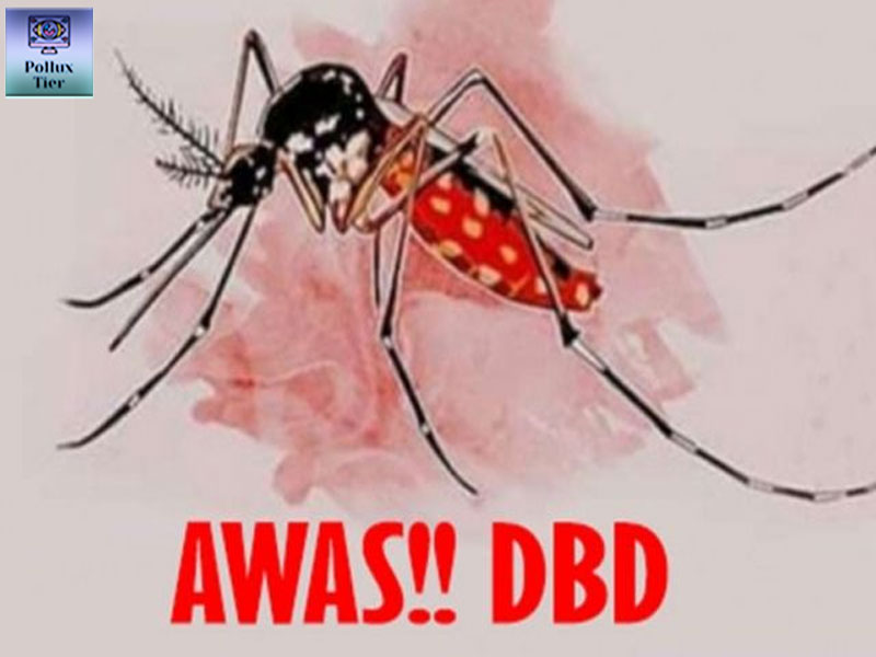 Penyakit DBD Sembuh Tanpa Obat