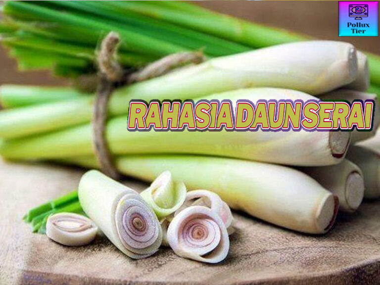 Daun Serai Menurut Polluxtier: Manfaat dan Cara Menggunakan