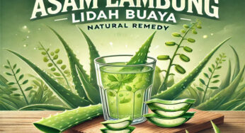 Solusi Asam Lambung Polluxtier: Resep Obat Alami Lidah Buaya