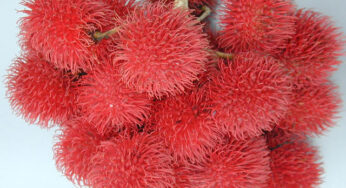 Rambutan Manis, Tapi Apakah Bisa Picu Gula Darah Tinggi?