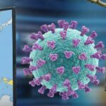 Waspada Lonjakan Kasus Virus Nipah di India, Ini Langkah Antisipasi Kemenkes untuk Wilayah Indonesia