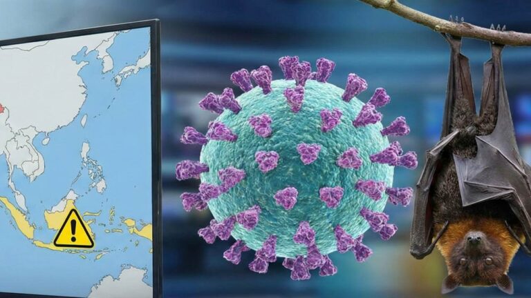 Waspada Lonjakan Kasus Virus Nipah di India, Ini Langkah Antisipasi Kemenkes untuk Wilayah Indonesia